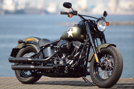 HARLEY-DAVIDSON FLSS SOFTAIL SLIM S