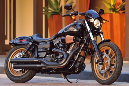 HARLEY-DAVIDSON LOW RIDER S FXDLS