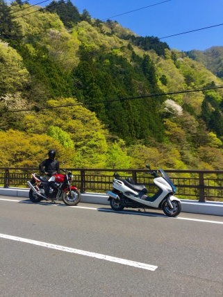 森とバイクと