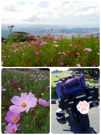 酷道抜けたらそこは天国～＼(*´▽`*)／♪