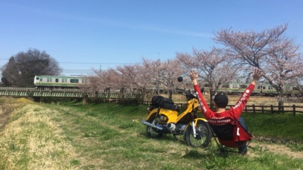 クロスカブで春うらら