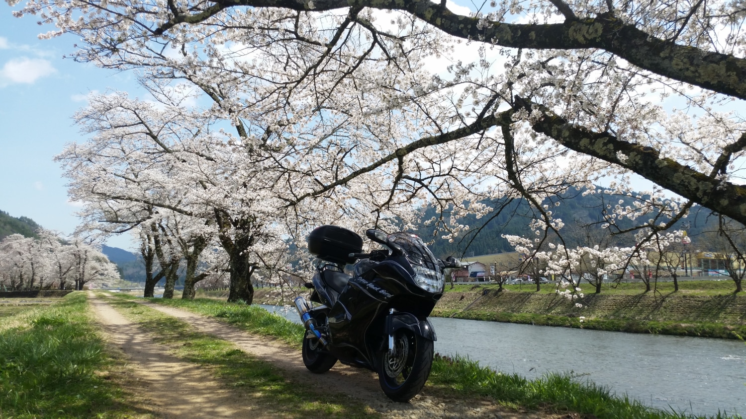 飛騨高山の春