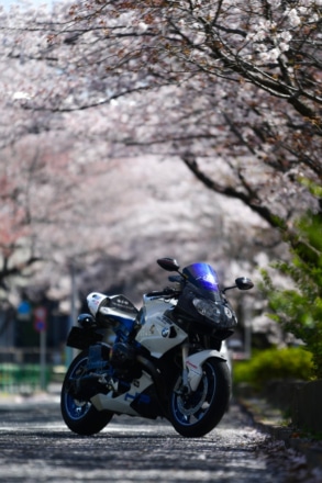 花よりバイクだったのが、、、