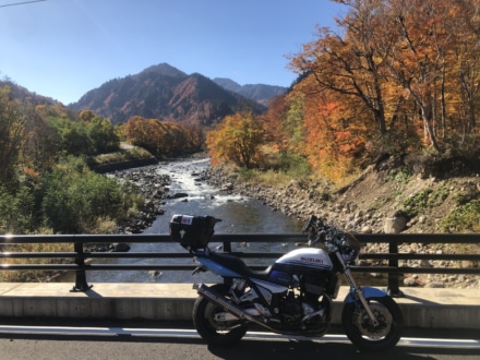 樹海ライン県境の橋からの紅葉