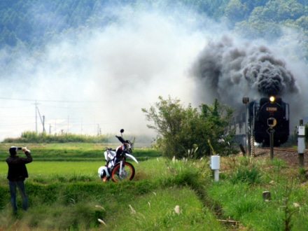 蒸気機関車を待ち伏せ