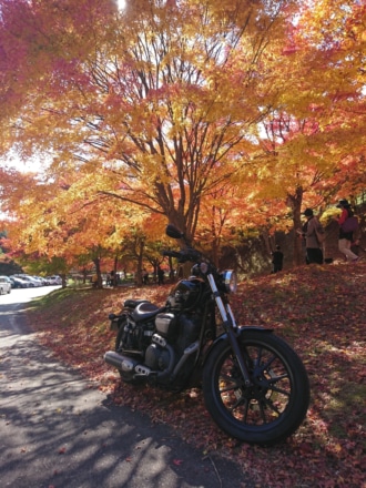 オヤジのツーリング・・・紅葉狩り