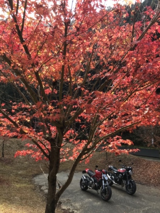 友人と初ツーリングでの紅葉