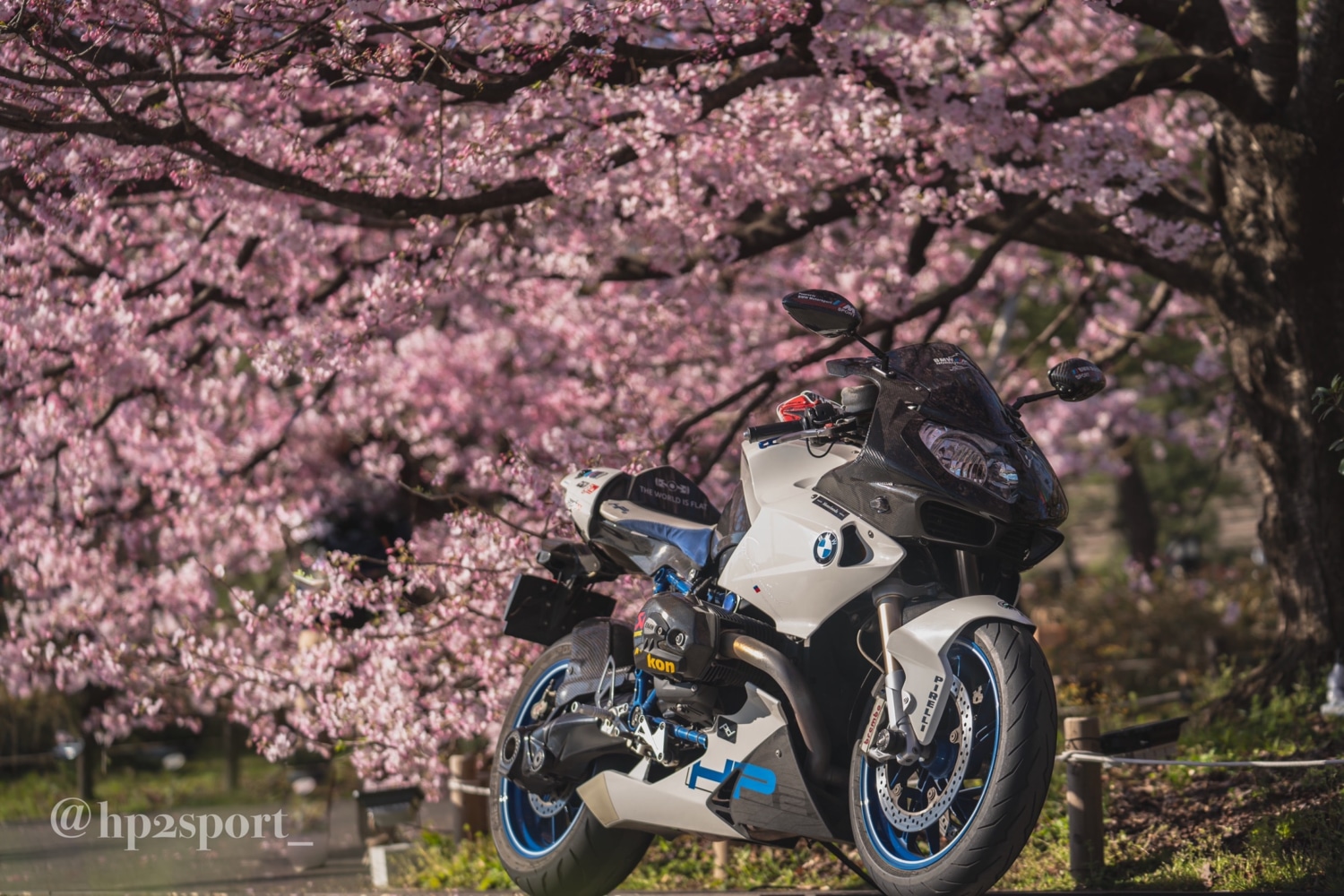 都内の桜 ツーリングフォトグランプリ タンデムスタイル