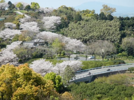 金峰オレンジロード「げんやま展望公園」の春