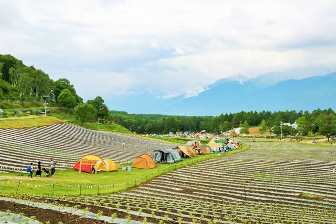 THE CAMP BOOK 2019 キャンプサイト風景