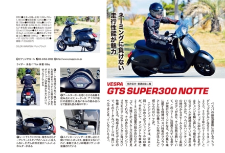 インプレッション“まる読み”にNo.206掲載の『VESPA GTS スーパー300 ノッテ』を追加しました！