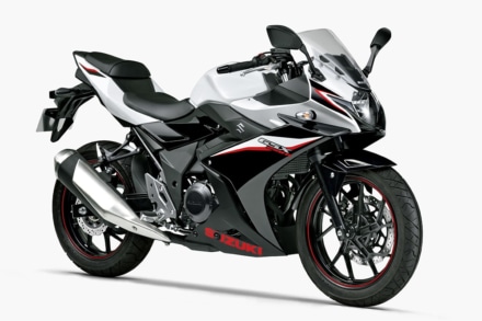 SUZUKI GSX250R（2020年モデル）パールグレッシャーホワイトNo.2/パールネブラーブラック