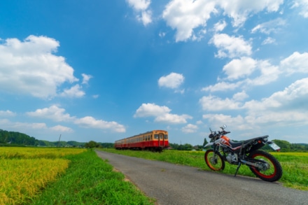 夏の景色を探しに行こう！！