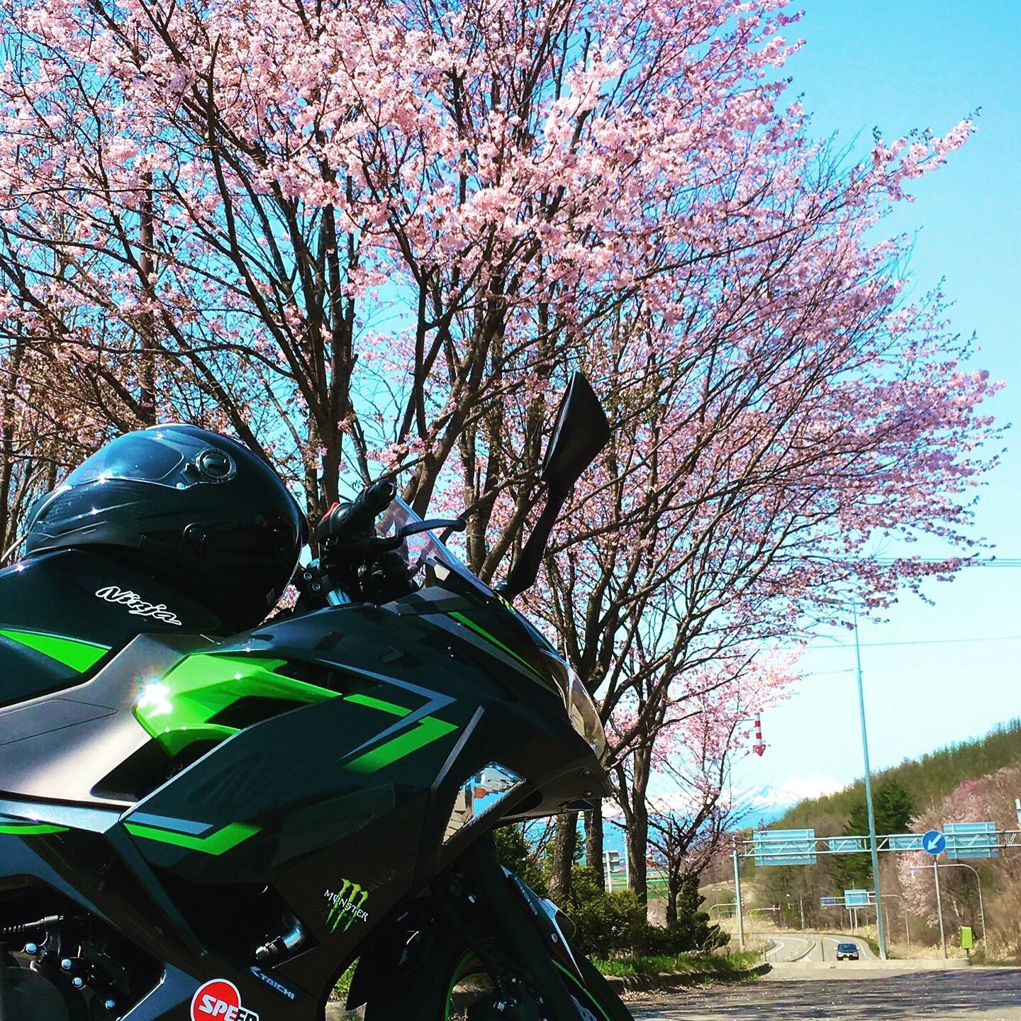 桜とバイク ツーリングフォトグランプリ タンデムスタイル