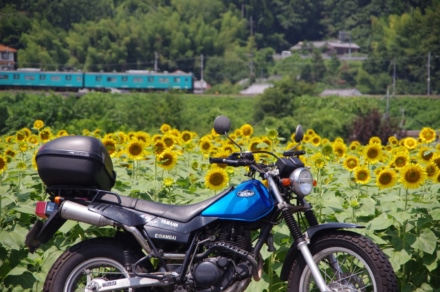 電車とひまわりとマイバイク(^.^)