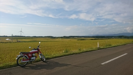 秋晴れの散歩道