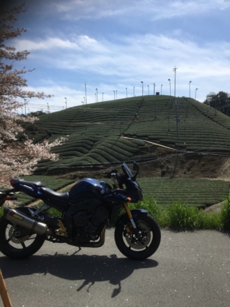 京都宇治をソロツーリング