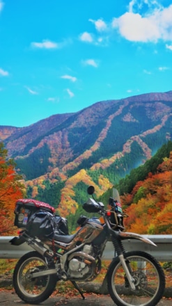 セローと紅葉の登り龍