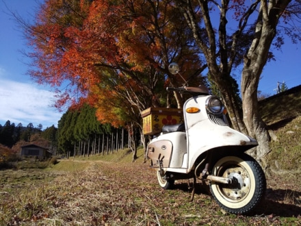 田舎の秋