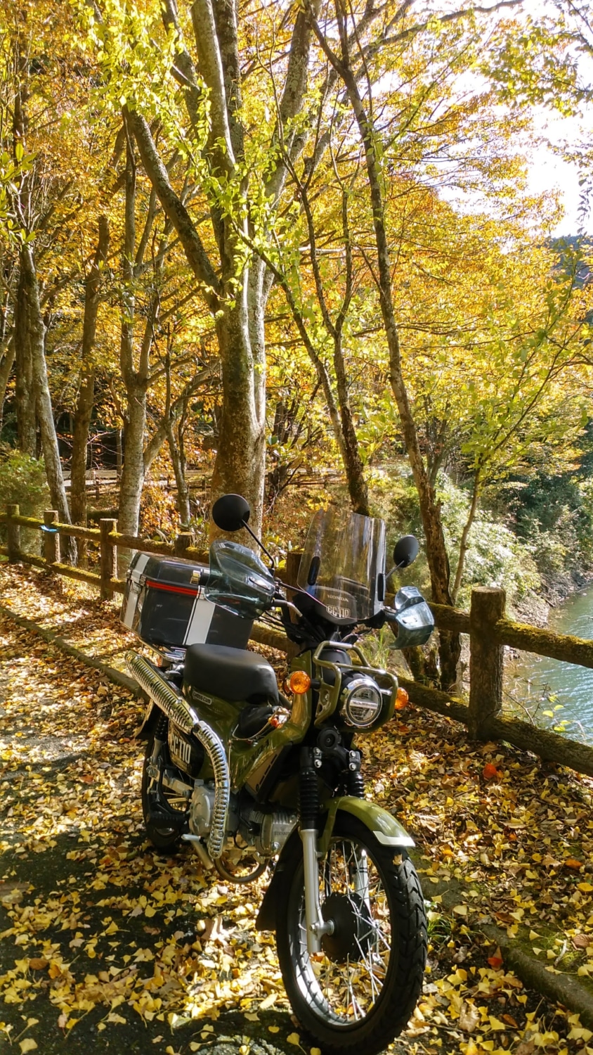 秋の銀山湖