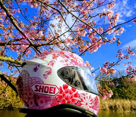 河津桜