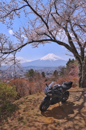 富士山と桜とCBRを共に♪