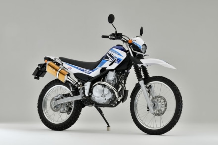 ヤマモトレーシング SEROW250 SUS TYPE-SAゴールド