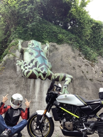 カエルとバイクと私