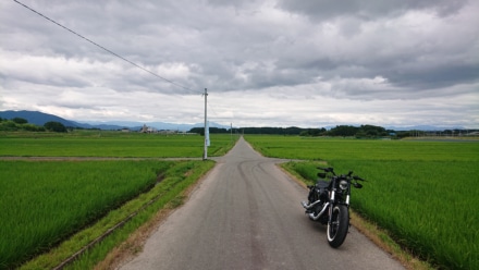 どーんと真っ直ぐにね。