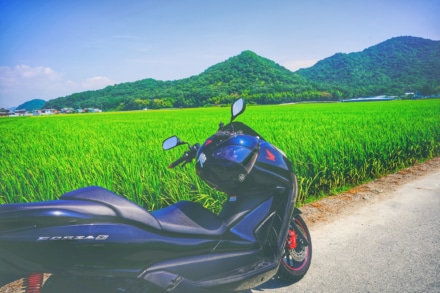 夏の風景