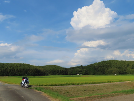 夏の田舎風景