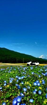 秋の空と秋のお花に囲まれて