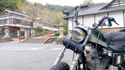 道を間違え、偶然たどり着いた花の御寺