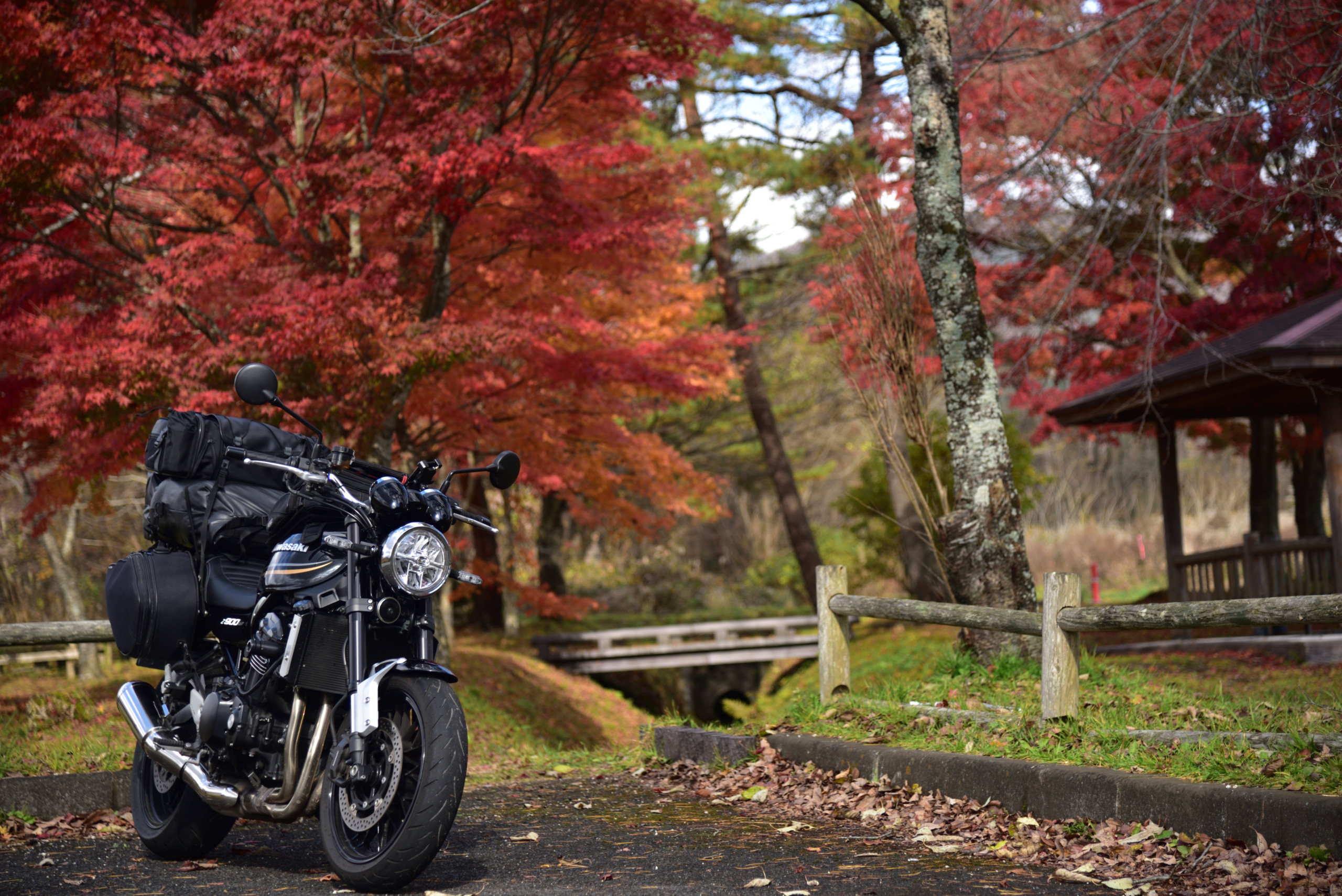 蒜山の紅葉 ツーリングフォトグランプリ タンデムスタイル