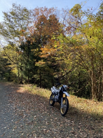 丹沢の紅葉はあともう少し