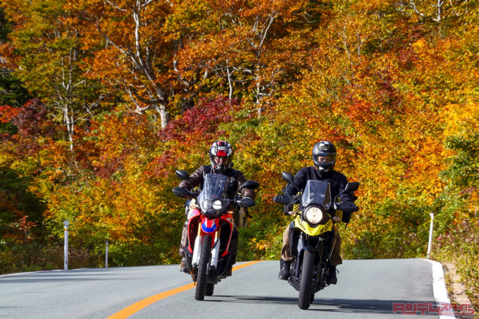 紅葉がきれいな山道を走る2台のバイク