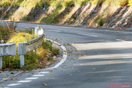【豆知識】冬の道路は落ち葉にご用心！コーナーだけではなく停車時も注意しよう