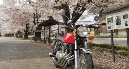 桜とフォアー