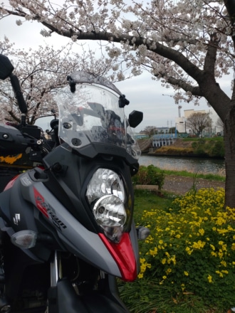 春とV-STROM650