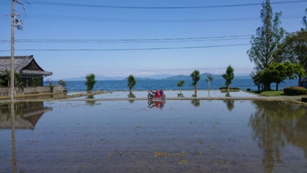 湖畔の水田 田植え前