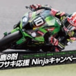 鈴鹿8耐カワサキ応援Ninjaキャンペーン