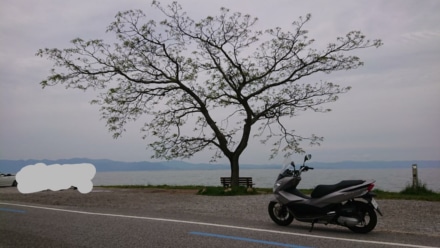 代車でビワイチ あのベンチ