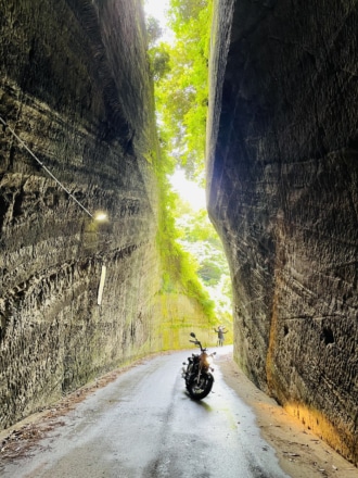 勝手知ったる未知との遭遇