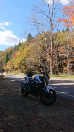 紅葉の、せせらぎ街道