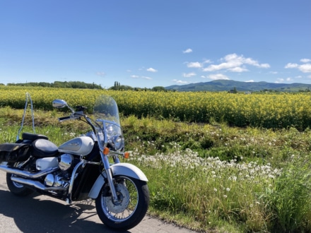 青空と菜の花とシャドウ