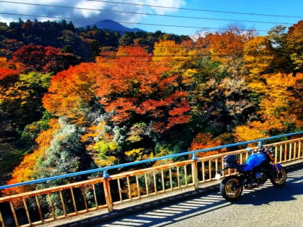 宮ケ瀬の紅葉を駆け抜けて