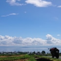青い空