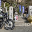 やっと初詣