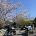 花見ツーリング