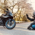 桜の園で相棒とおしゃべり